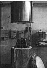 Elektroofen